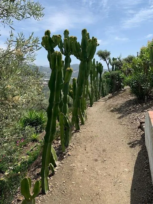 Finca El Cisne, Torrox Villa