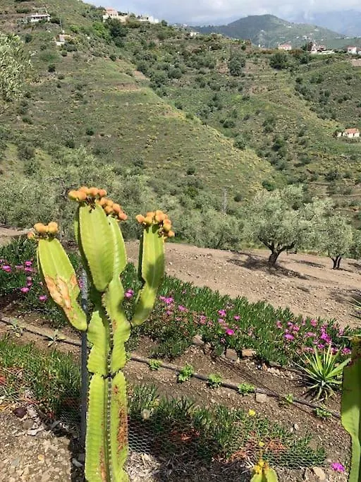 Сasa de vacaciones Finca El Cisne, Torrox Villa