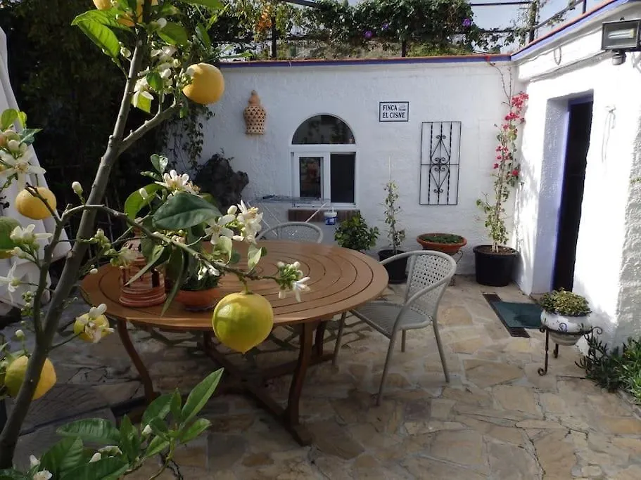 Finca El Cisne, Torrox Villa España