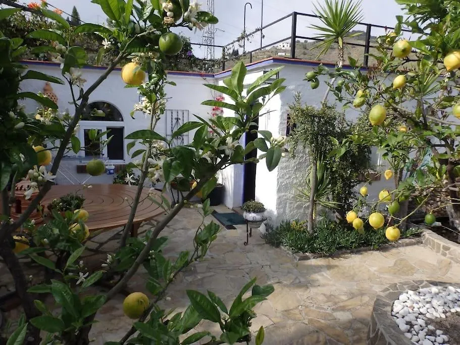 Finca El Cisne, Torrox Villa 0*,  España