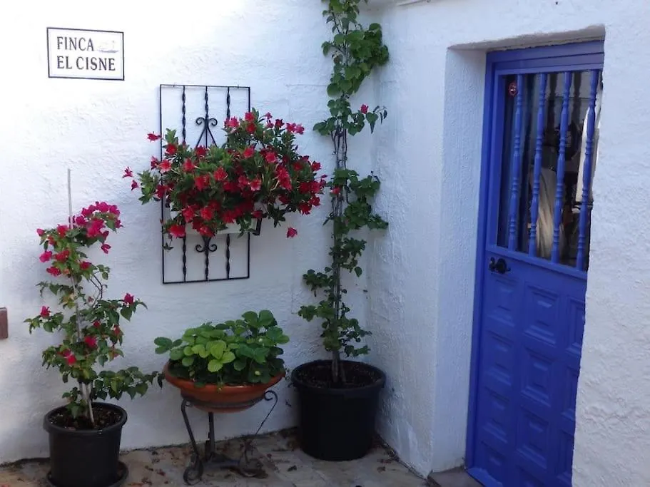 Finca El Cisne, Torrox Villa